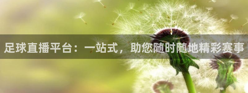 足球直播平台：一站式，助您随时随地精彩赛事
