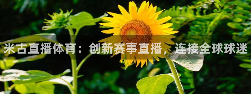米古直播体育：创新赛事直播，连接全球球迷